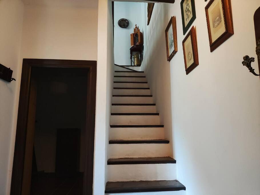 Casa En El Valle De Guainosaltos Adra Kültér fotó