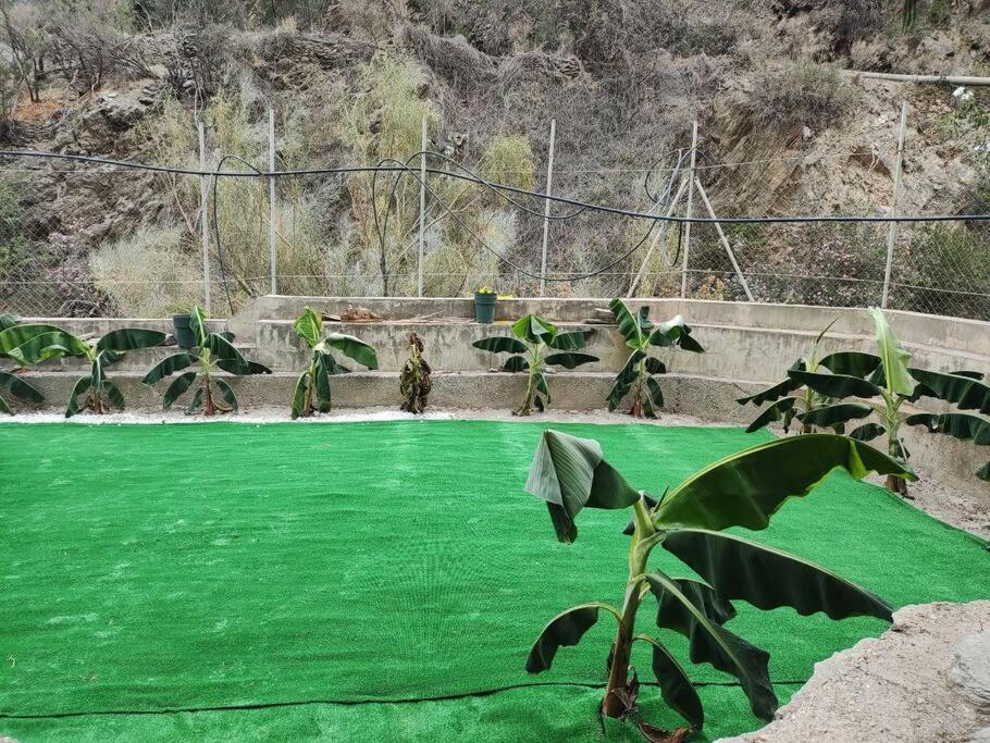 Casa En El Valle De Guainosaltos Adra Kültér fotó